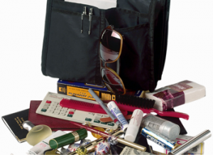 highlight-image removable purse organizer insert