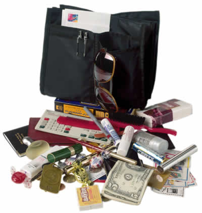 messy removable purse organizer