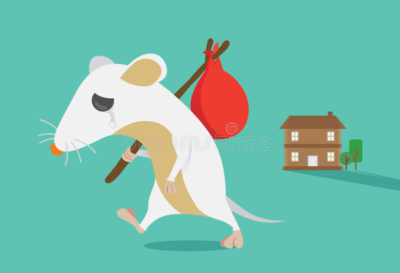 Electronic pest repeller plugin. Rodent leaves home. 